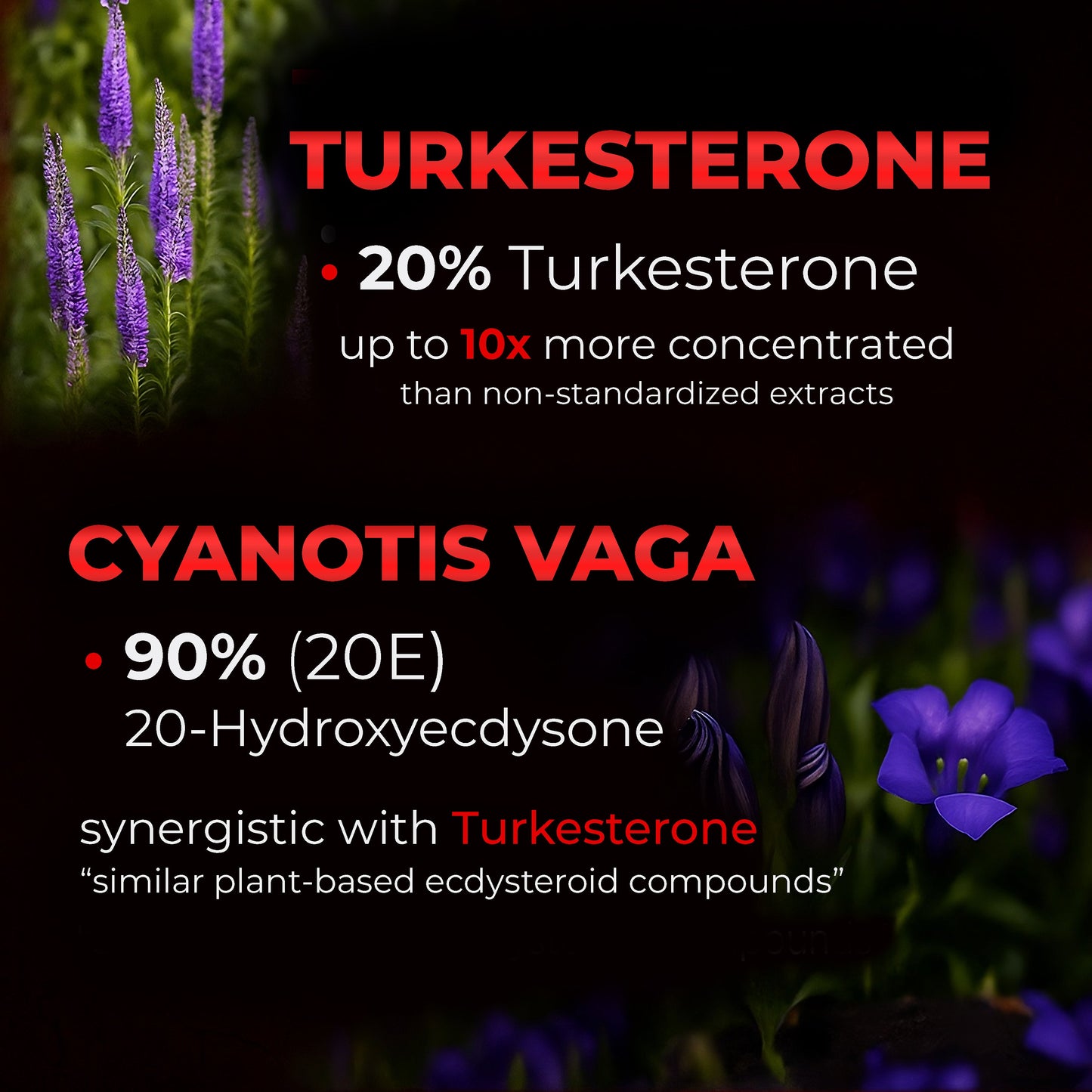 Alpha Male Super Complex