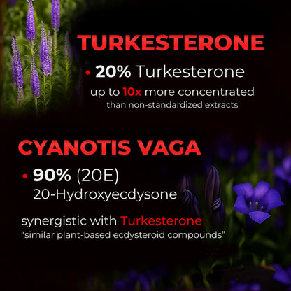 Alpha Male Super Complex